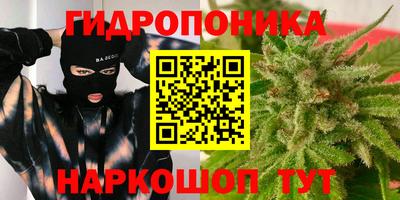 спайс Кинель