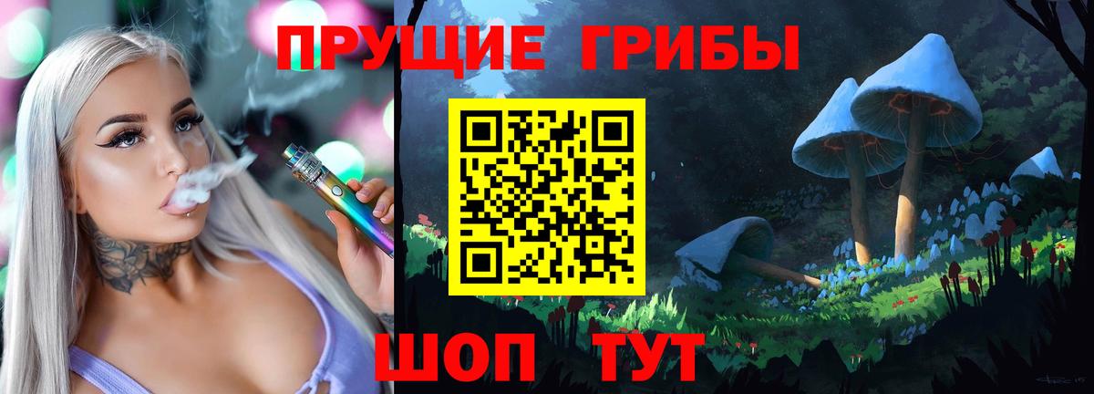 Псилоцибиновые грибы Psilocybe Великий Новгород